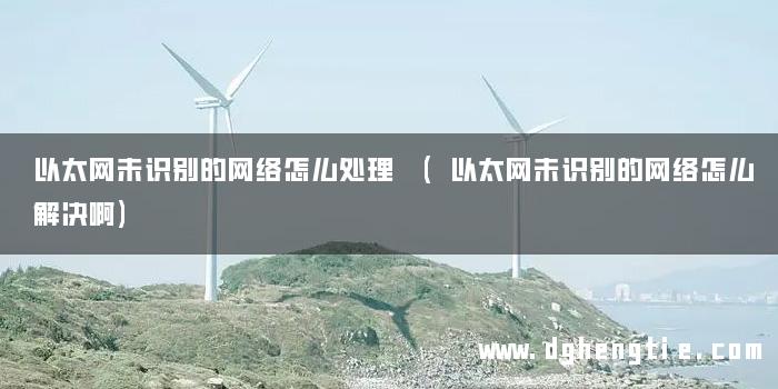 以太网未识别的网络怎么处理 (以太网未识别的网络怎么解决啊)